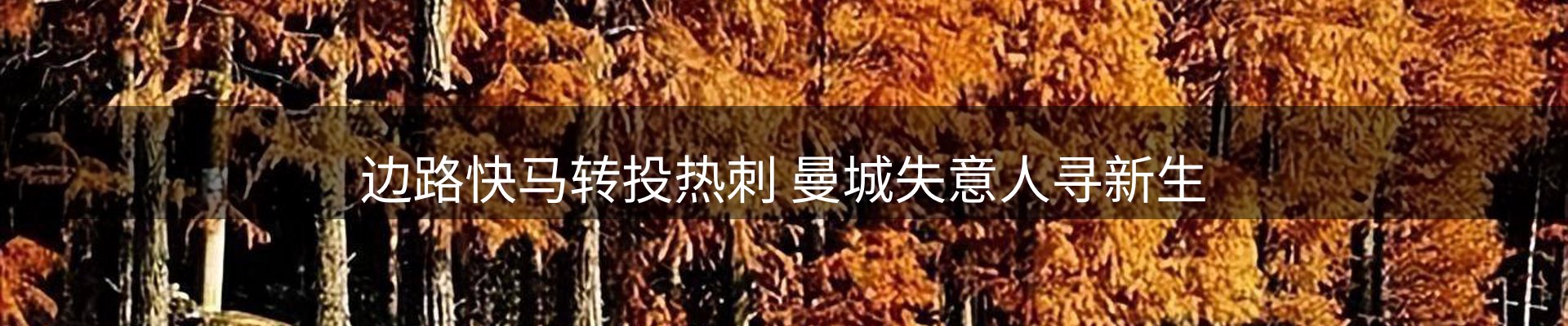 前沿焦点
